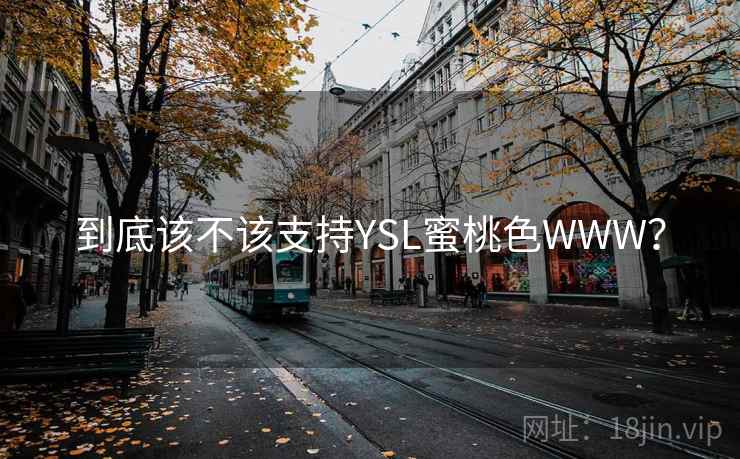 到底该不该支持YSL蜜桃色WWW？